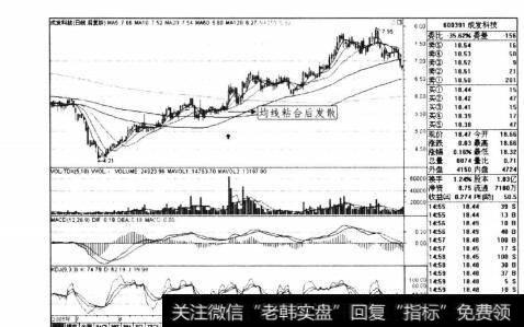 图3-20成发科技2005年7月-2006年3月日线走势图