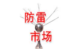 王雪颖：<em>中光防雷</em>拓宽防雷市场