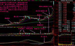 老股民血亏悟出的牛股定律