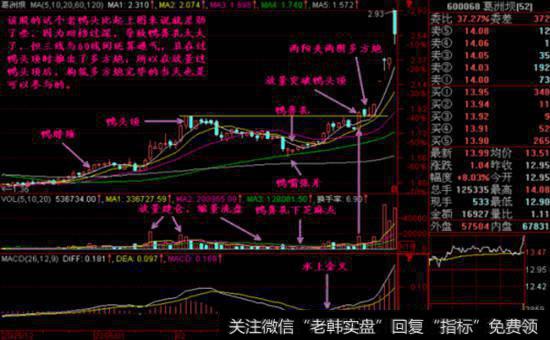 老股民血亏悟出的牛股定律