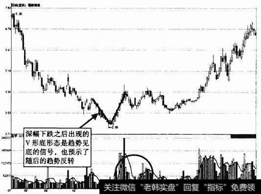 福建南纸V形底形态示意图