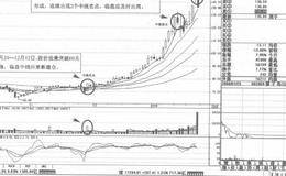 中线投资原则管理体系