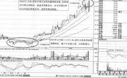 中长线投资原则管理体系