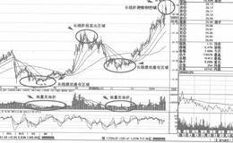 长线投资原则管理体系