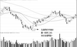 纵横双向统一战法典型案例