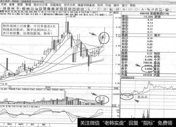 图133 600108<a href='/scdx/283521.html'>亚盛集团</a>2008年2月30日日K线走势图谱