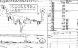 新五丰短线操盘实例策略分析
