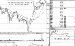 新赛股份短线操盘案例策略分析