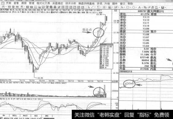 图215600797<a href='/ggnews/249252.html'>浙大网新</a>2008年2月19日30分钟K线走势图谱