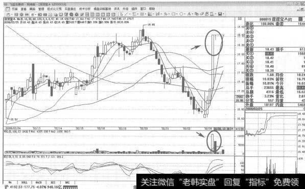 图225 000019深深宝2008年2月25日30分钟K线走势图谱