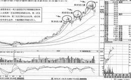 止赢法则具体法则