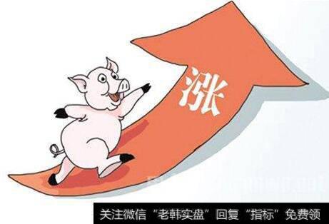 猪价旺季反弹环保高压下供给受限