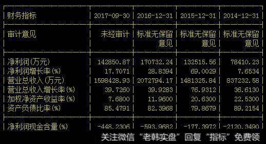 泰禾集团资产负债率