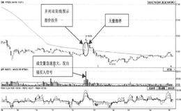 在T+0半仓低吸操作中如何快速低吸？