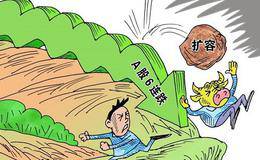 股神林园的持股策略:三年布阵