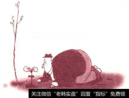 熊市中选好股票做乌龟