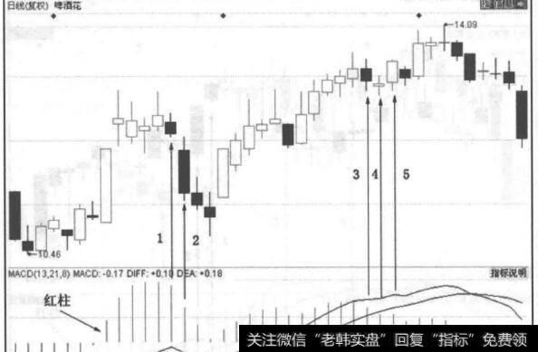 图3-10啤酒花走势图