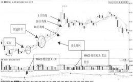 多头排列时T+0操作应如何操作？