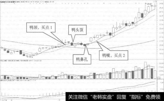 纽威股份日K线