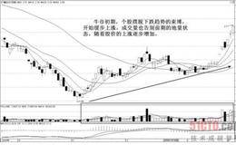 股神林园牛市初期“满仓”的投资策略