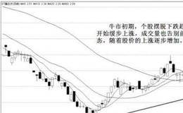 股神林园牛市初期 “捂股”的投资策略