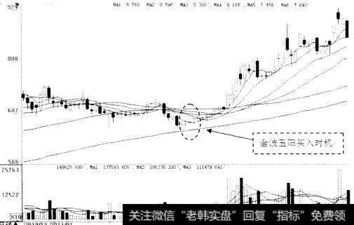 金波阳买入时机(一)