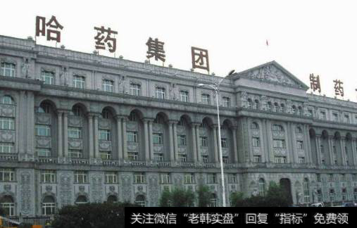 哈药集团