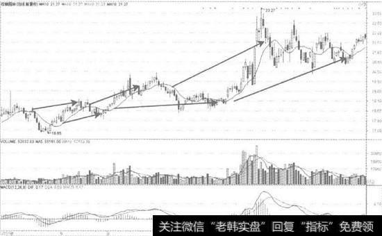 棕桐园林日K线