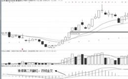 涨停板后维持高速率战法典型案例：山东墨龙（002490）