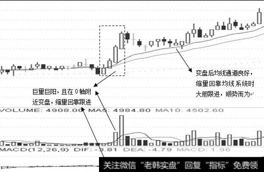 正向量走势