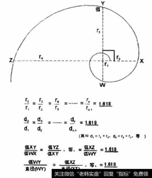 金螺线的直径和半径的关系