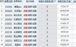 社保基金连续三季度增持22只股票