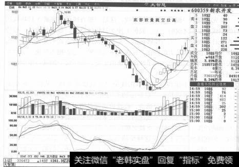 图2-37新农开发K线走势图