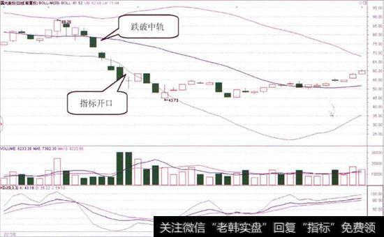 国光股份(002749)的日K线图