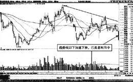 分时图中丽江旅游低开横盘跌破等价线形态卖点