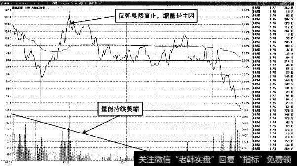 通化东宝—缩量中的无效反弹
