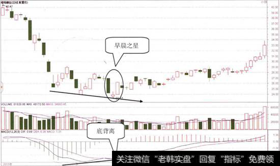 <a href='/ztbfp/56568.html'>维格娜丝</a>日K线