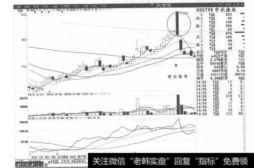 图5-3中水渔业分时走势图