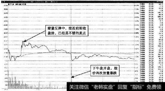 獐子岛—反弹高位便是卖点