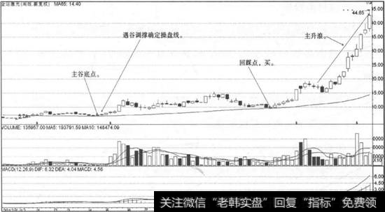 金运激光走势图