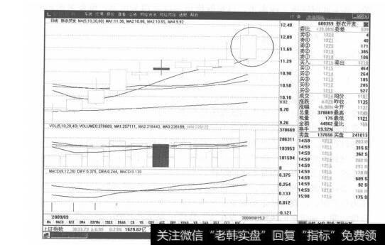 图6-2新农开发K线走势图