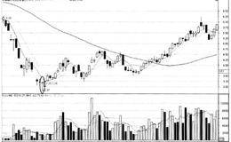 单K线买点分析： 买点5底部T形线