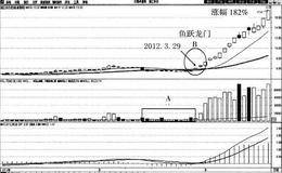 鱼跃龙门买入法案例分析:<em>浙江东日</em>