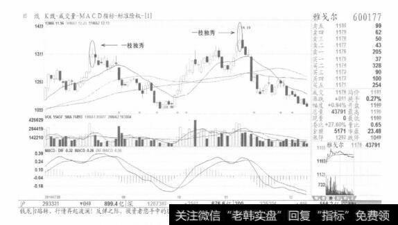 图6形态是需要尊重的，指令是要用铁律去捍卫的