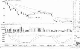 阶段性止跌信号：一锤定音的案例详解