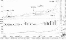 经典见顶信号：一枝独秀案例详解