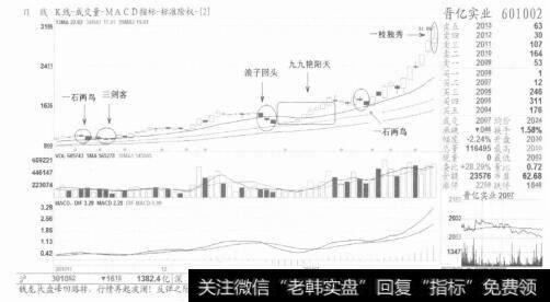 图6【一枝独秀】是经典的见顶信号，必须走