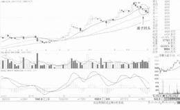 实战中必须心随股走，及时跟变的案例详解