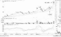 止跌信号出现后适量跟进的案例解读
