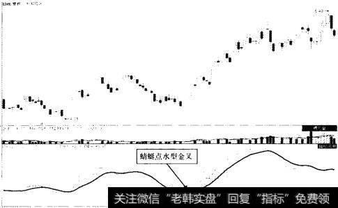 中国石化（600028）2012年8月至2013年2月走势图